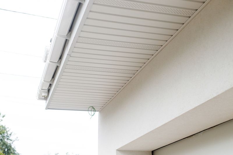 Soffit Damage Repair in Conroe, TX
